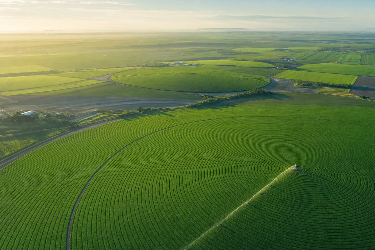Vista aérea de área agrícola com pivots de irrigação